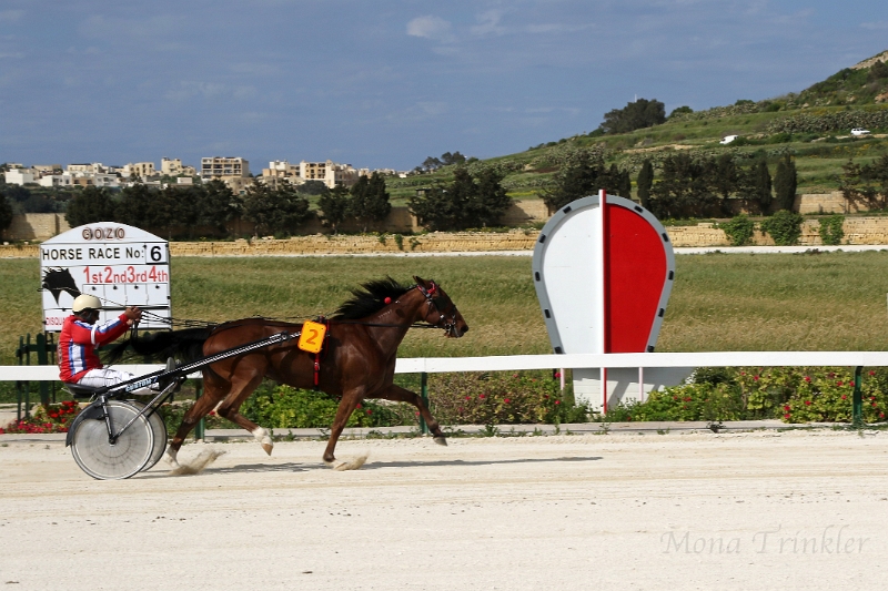 2015_Race 6 - 13.JPG